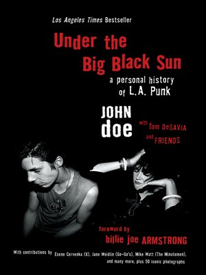 cover image of Under the Big Black Sun